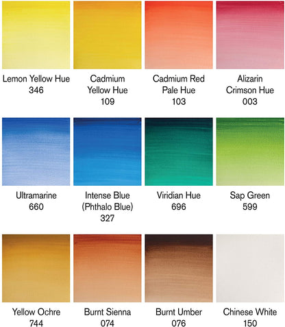 Set Watercolor Cotman Winsor&Newton - Colorificio Sarzi Amadè